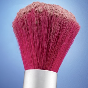 blush-brush.jpg